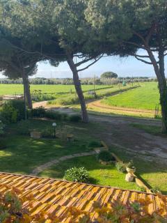 Casa Diana - Tarquinia - 6