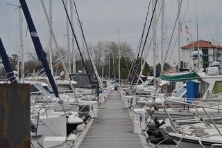 Bateau au coeur d'Hendaye - 1