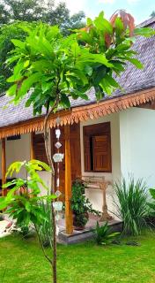 Irmy's Village - Gili Air - 6