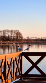 Przystanek Osłonin- całoroczny dom na wynajem - 2