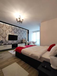 Studio Elegance - Târgu Mureș - 9