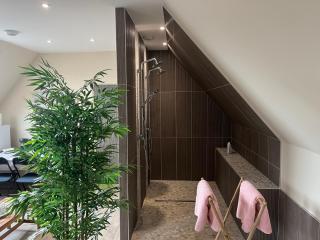 chambre Mont Fleuri - Halluin - 6