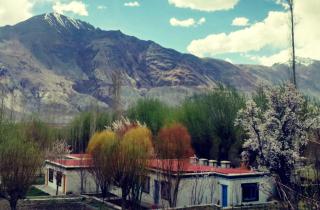 Lharimo North Cottages - Nubra Valley - 8