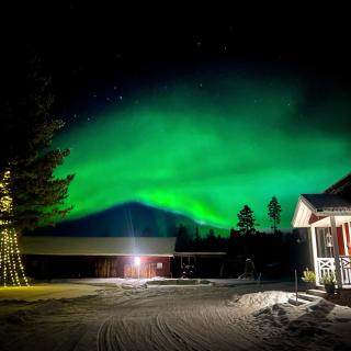 Alaskan Malamute Ranch Guest House Tegelbacken - - 9