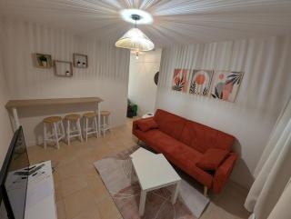 Le joli petit Bannier T2 Neuf , Fibre - Orléans - 9