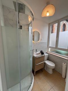 Le joli petit Bannier T2 Neuf , Fibre - Orléans - 4