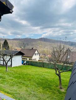 NEU im Harz, Das Haus am Wald mit privater Sauna, frisch renoviert - Walkenried - 7
