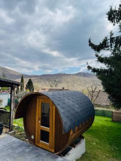 NEU im Harz, Das Haus am Wald mit privater Sauna, frisch renoviert - Walkenried - 0