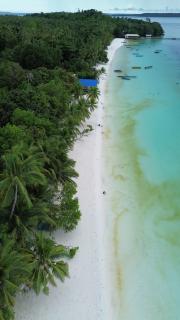Yohana Cottage - Tual - 1