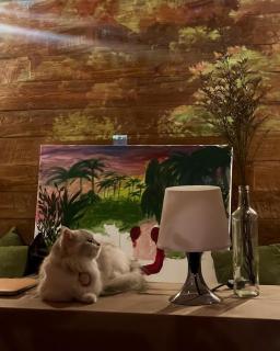 Spacious Family Home & Office Canggu, stay with cats - 6