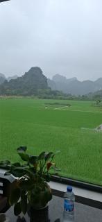 Trang an rice field homestay - Ninh Binh - 9