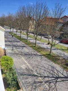 Alleeblick - Ballenstedt - 8
