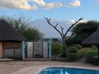 AA Lodge Amboseli - Amboseli - 7