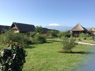 AA Lodge Amboseli - Amboseli - 9