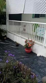 Maison 1 chambre - Le Moule - 1