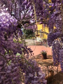 Il Lanificio airb&b - - 6