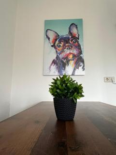 Gemütliches Altbauapartment II - Chemnitz - 7