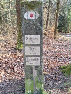 Ferienwohnung Blick zum Zirkelstein - Reinhardtsdorf - 9