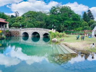 Finca BRIABÍ - La Cañiza - 6