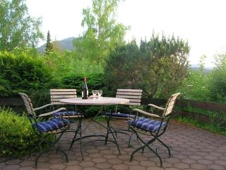 Ferienhaus Fuchsweg im Feriendorf Reichenbach F8 - Nesselwang - 1