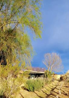 Cottage de los Andes - Mendoza - 9