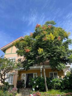 BICH DAO Boutique - Dalat - Da Lat - 0