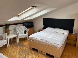 Residence u Vejvodů - Praga - 4