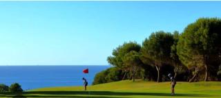 Noctua Cortesin sun 002 - 1