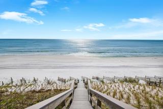 The Viridian 202 on 30A - 8
