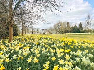 Buxted Park Country House - Uckfield - 9