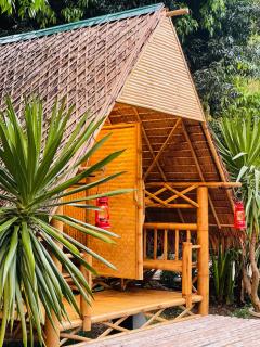 Khaosok Monkeys & River Camps - Khao Sok - 2