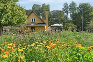 Forest House With Fruit Garden By Rø Plantation - Rønne - 7