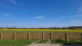 The Nook - Debenham - 4