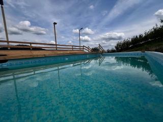 Wzgórze w Cieniu Lasu - 1