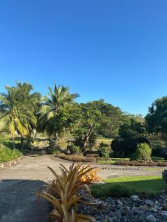 Grand T2 au calme en pleine nature - Vieux-Habitants - 1