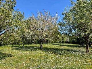 Des Roux et des Pious Suite de 35 à 60 m2 et 3 chambres pour groupe de 2 à 6 personnes - Civray-de-Touraine - 8