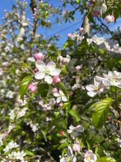 La Lanterna - Arco - 8