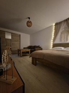 Nomad Nest - Braşov - 9