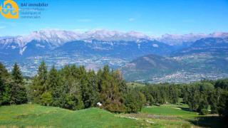 Mayen de Tsèbetta 36, magnifique chalet au milieu des sapins - 9