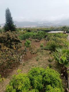 Villa Sheila - Malaga - 4