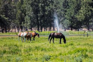 Long Hollow Ranch - The Bunk House - Sisters - 4