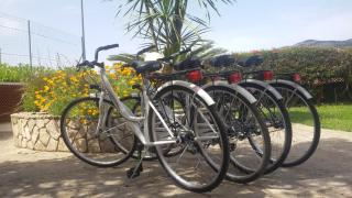 Green House - Terracina - 1