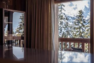 Antarès URSA 401 - luxury apartment ski inski out - Méribel - 4