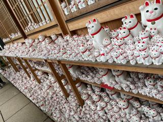 COTO Shibuya Premium Garden - 6