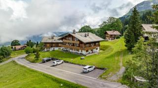 Mountain & Lakeview Fireplace & Garden Bbq - Axalp - 5