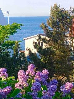 Idyllic Cliffside Villa With Stunning Sea Views - Allinge-Sandvig - 7