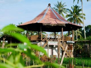 Rice Field inn - Lombok - Tetebatu - 7