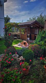 Casa Alba - Mamaia Nord – Năvodari - 5