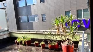 Leonard apartament 2 - Tirana - 1