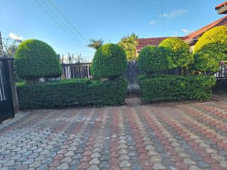 Lusaka Meanwood ibexhill - Lusaka - 2